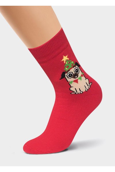 Носки женские Clever Д583П нг