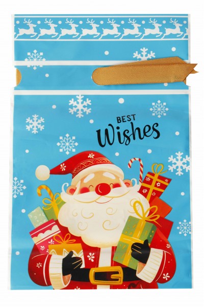 Пакет новогодний 001