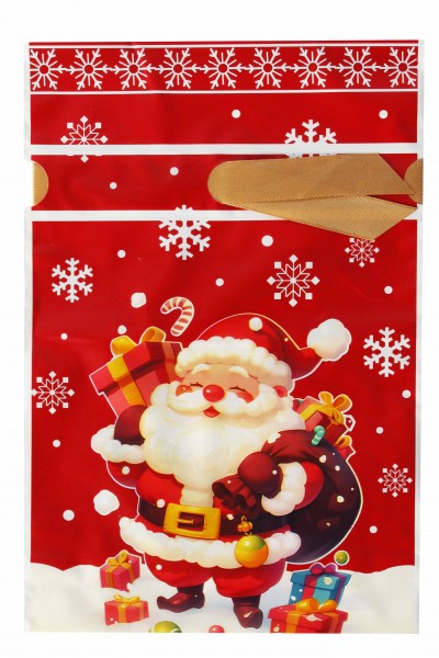 Пакет новогодний 001