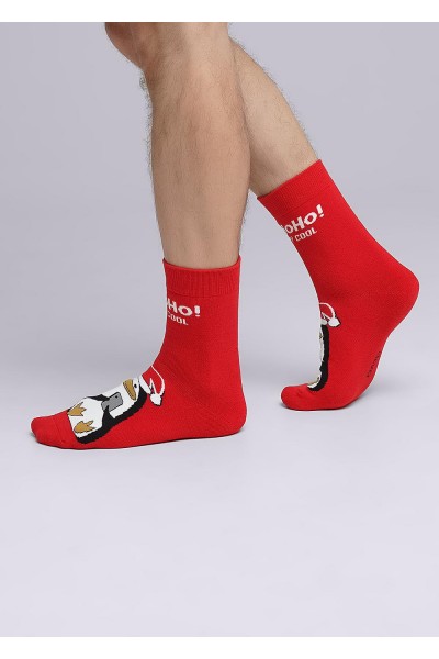 Носки мужские Clever К3351П нг