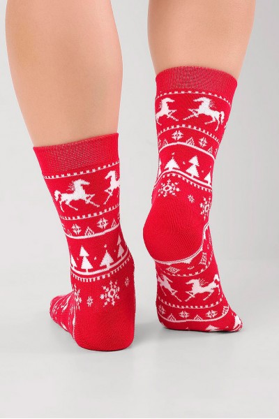 Носки женские Clever Д2550П нг