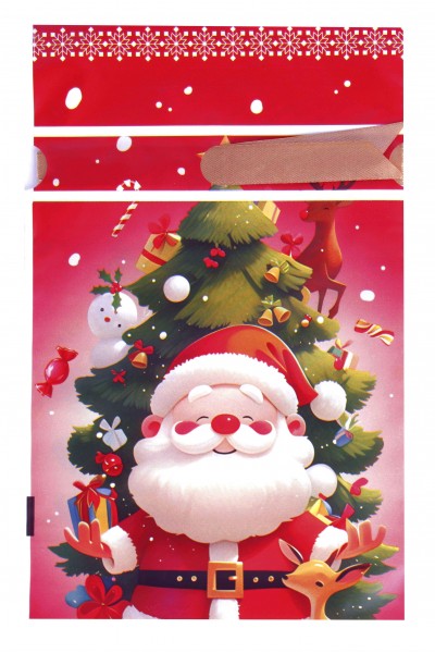 Пакет новогодний 001