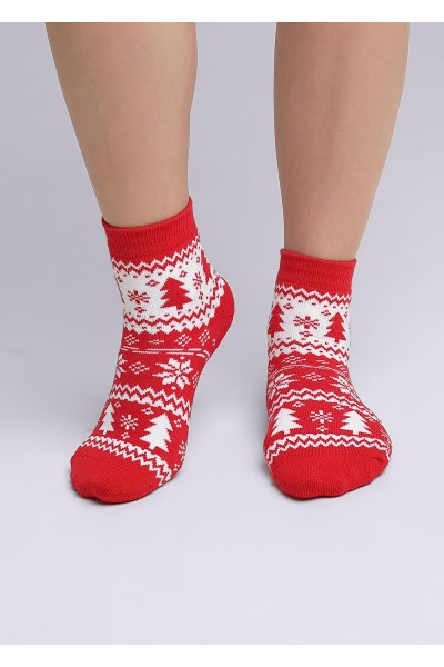 Носки женские Clever Д2350П нг