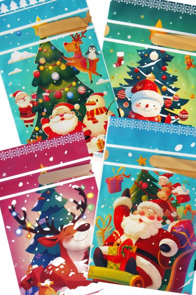 Пакет новогодний 002