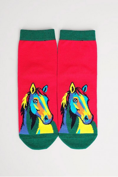 Носки женские Clever Д2554 нг