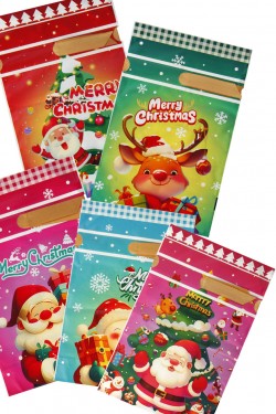 Пакет новогодний 003