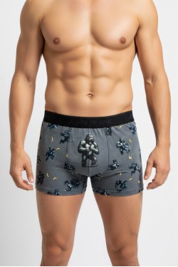 Белье мужское John Frank JFBDFR392