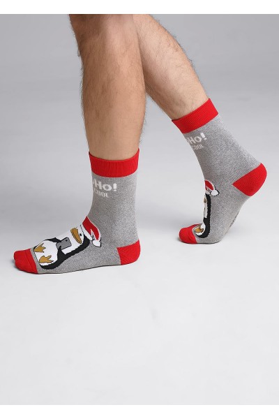 Носки мужские Clever К3351П нг