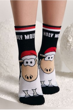 Носки женские Conte 21С-76 нг