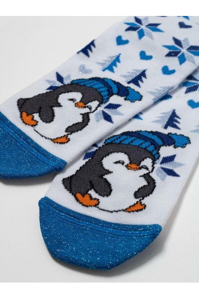 Носки детские Conte 23С-49 нг