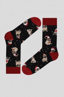 Носки мужские John Frank JFLSFUN-CH01