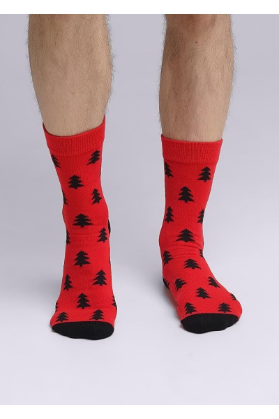 Носки мужские Clever К3363Л нг