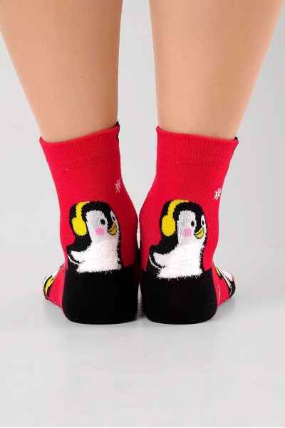 Носки женские Clever Д2555 нг