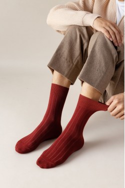 Носки мужские Чулок 21808