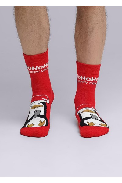 Носки мужские Clever К3351П нг