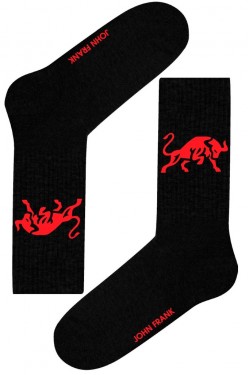 Носки мужские John Frank JFLSSPRT16