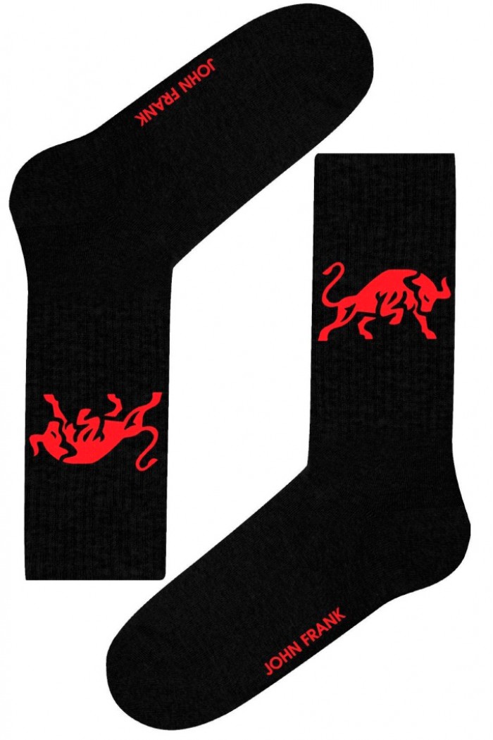 Носки мужские John Frank JFLSSPRT16