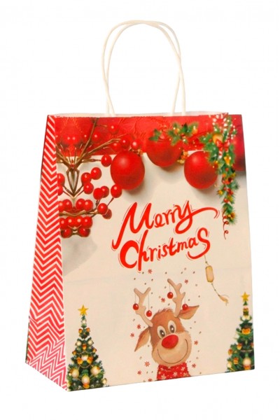 Пакет новогодний 20