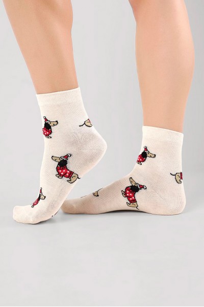 Носки женские Clever Д2563 нг