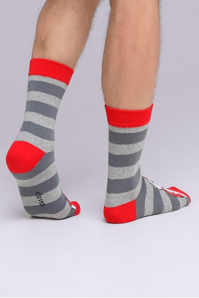 Носки мужские Clever К3358Л нг
