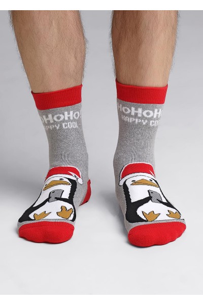 Носки мужские Clever К3351П нг