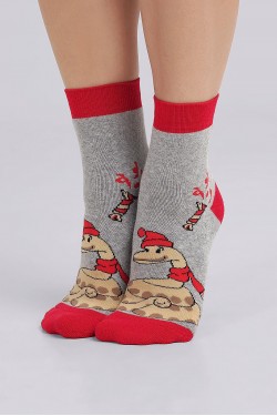 Носки женские Clever Д2453П нг