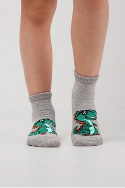 Носки детские Clever C1624