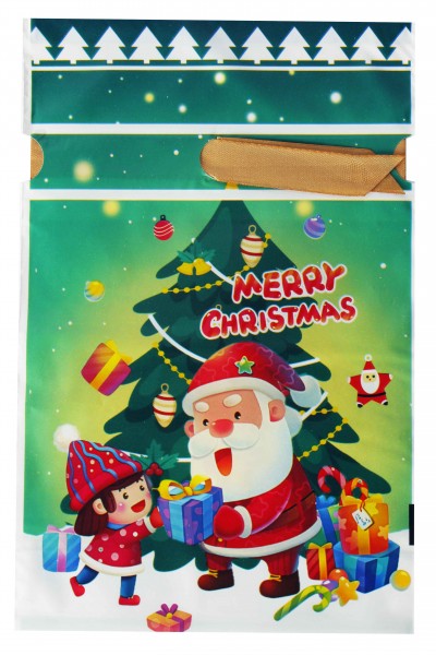 Пакет новогодний 001