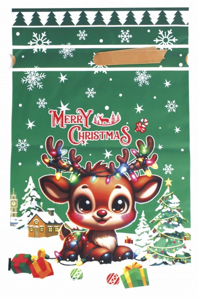 Пакет новогодний 001