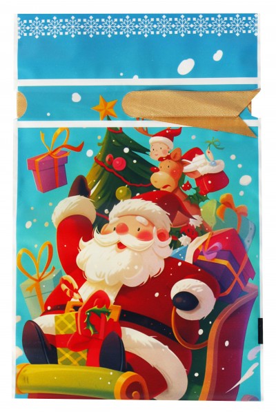 Пакет новогодний 002