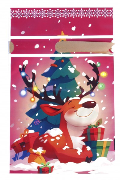 Пакет новогодний 002