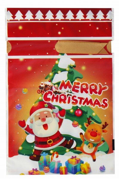 Пакет новогодний 003