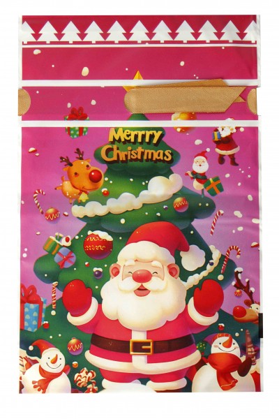 Пакет новогодний 003