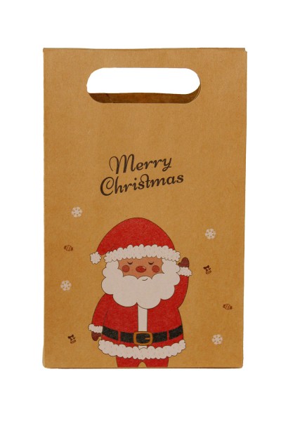 Пакет новогодний 19