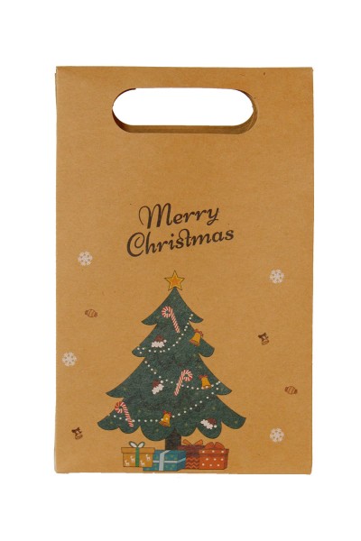 Пакет новогодний 19