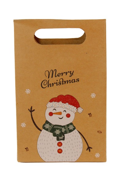 Пакет новогодний 19