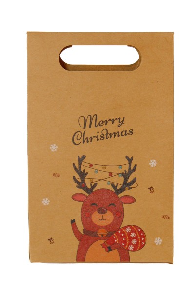 Пакет новогодний 19