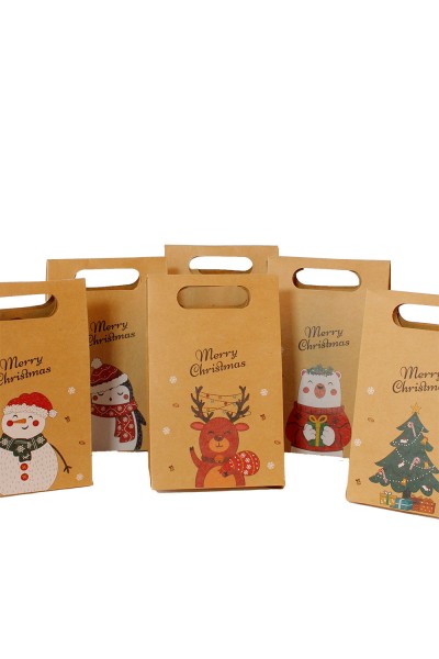 Пакет новогодний 19