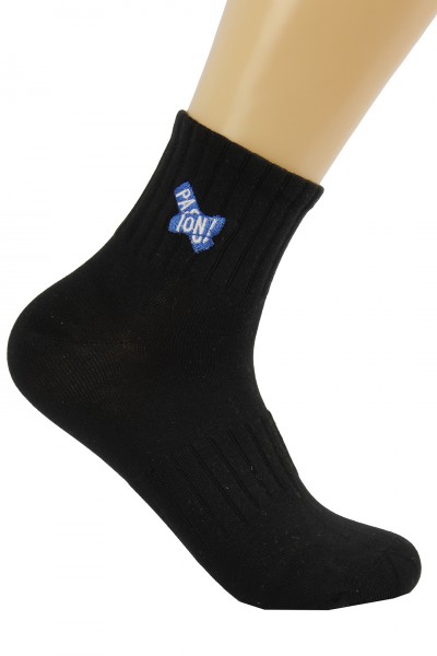 Носки мужские Чулок 181