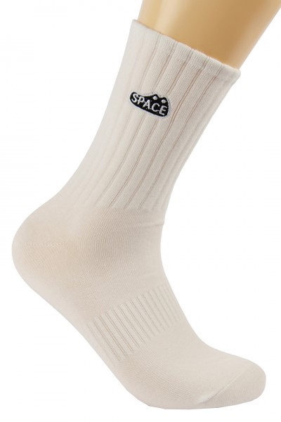 Носки мужские Чулок 183