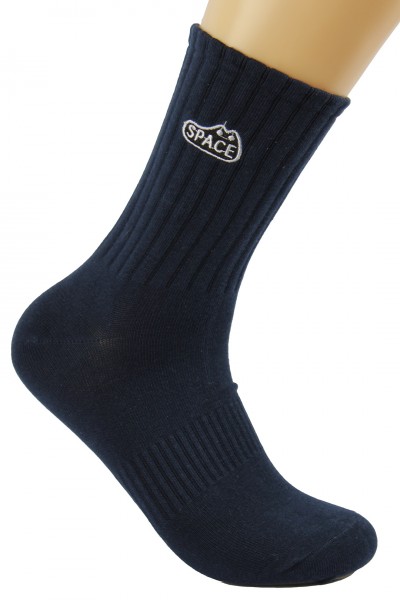 Носки мужские Чулок 183