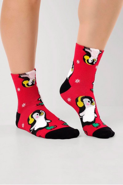 Носки женские Clever Д2555 нг