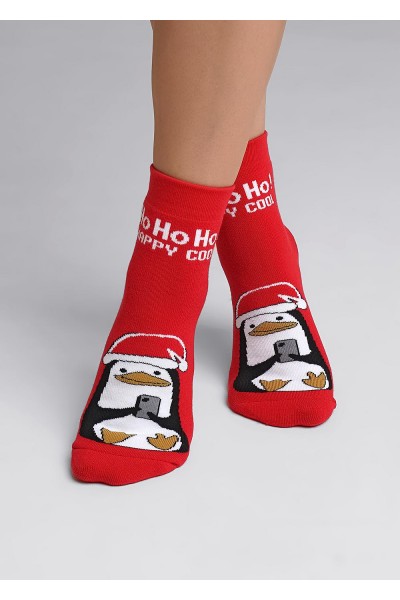 Носки женские Clever Д2351П нг