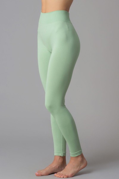 Леггинсы женские Giulia Leggings 01