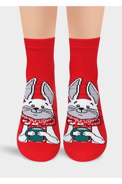 Носки женские Clever Д2260 нг