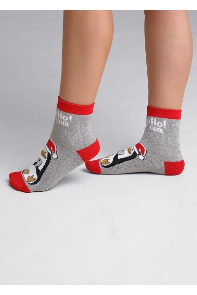 Носки женские Clever Д2351П нг