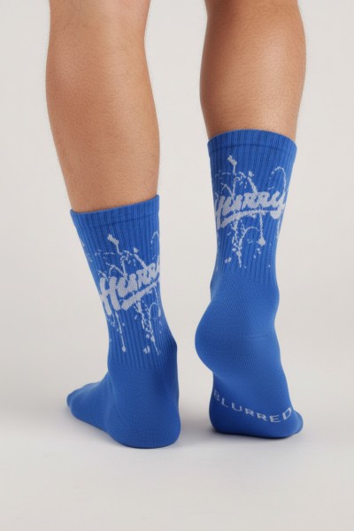 Носки мужские Чулок 173