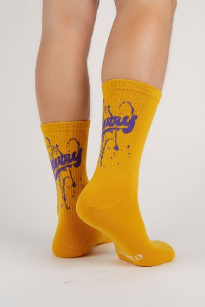 Носки мужские Чулок 173