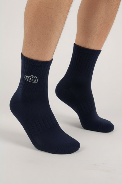 Носки мужские Чулок 179