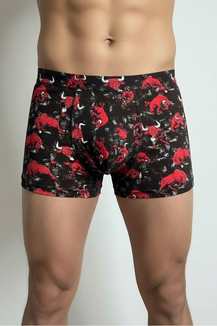 Белье мужское John Frank JFBDH701